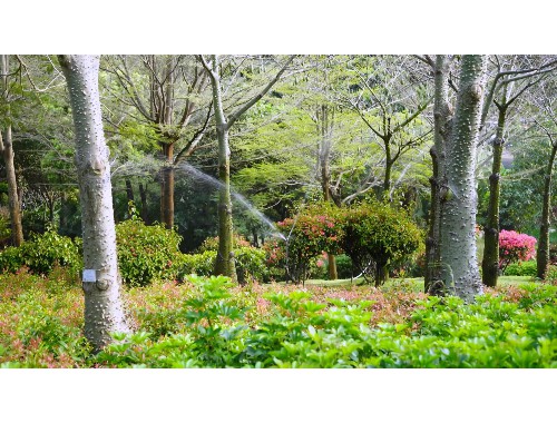 吉林市政绿化种植土单价