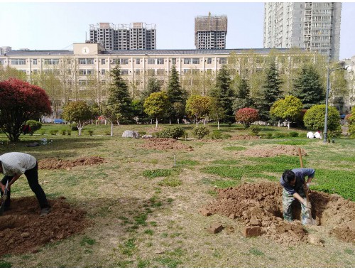 威廉希尔足球官网：万昌东方巴黎湖岸城市绿化广场