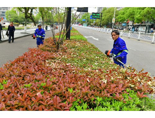 威廉希尔足球官网：丽水绿化和市容管理局