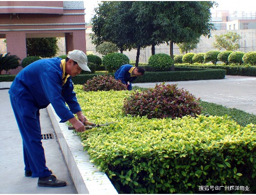 威廉希尔足球官网：室外道路绿化工程